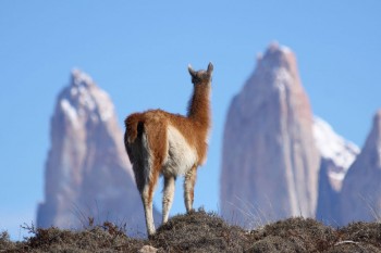 Chile Adventure Travel Expo