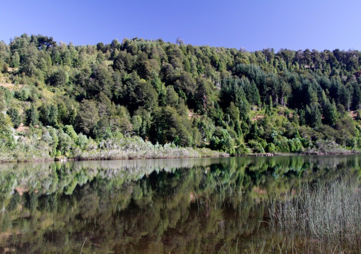 Kayaking in Pucon Chile