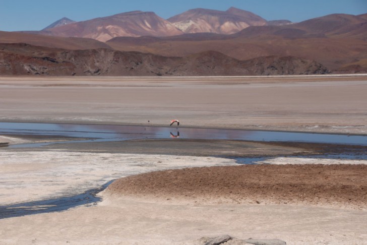 Things to do in Atacama Chile 
