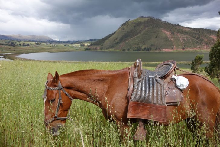 Things to do in Peru - Horseback Ride