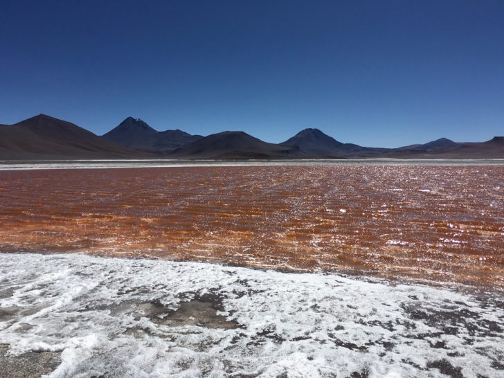 Atacama Desert Trip