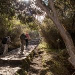 Machu Picchu Hike Inca Trail