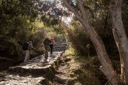 Machu Picchu Hike Inca Trail