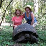 Galapagos Islands Ecuador Travel + Tours