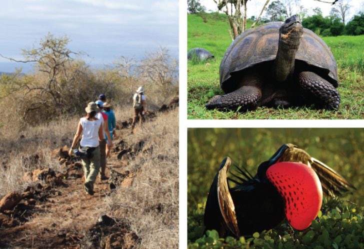 Galapagos Islands, Ecuador - Knowmad Adventures