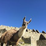 Peru Machu Picchu Travel