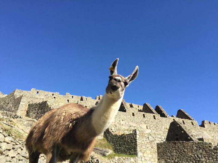 Peru Machu Picchu Travel 