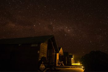 Travel to the Galapagos Islands Lava Lodge