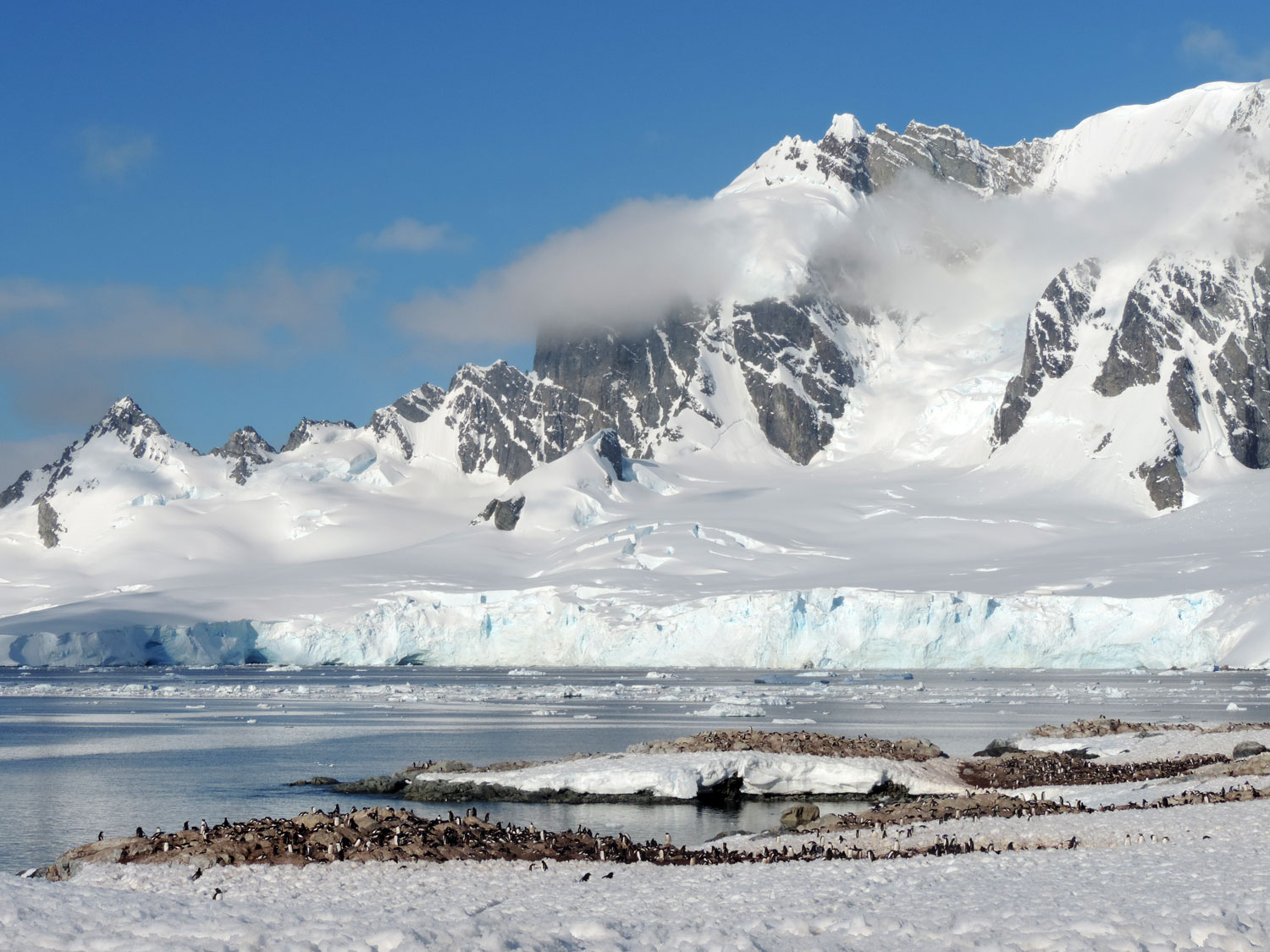 Antarctica Travel Tips + Experiences - Knowmad Adventures