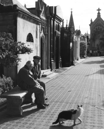 Recoleta Cemetery Buenos Aires Travel