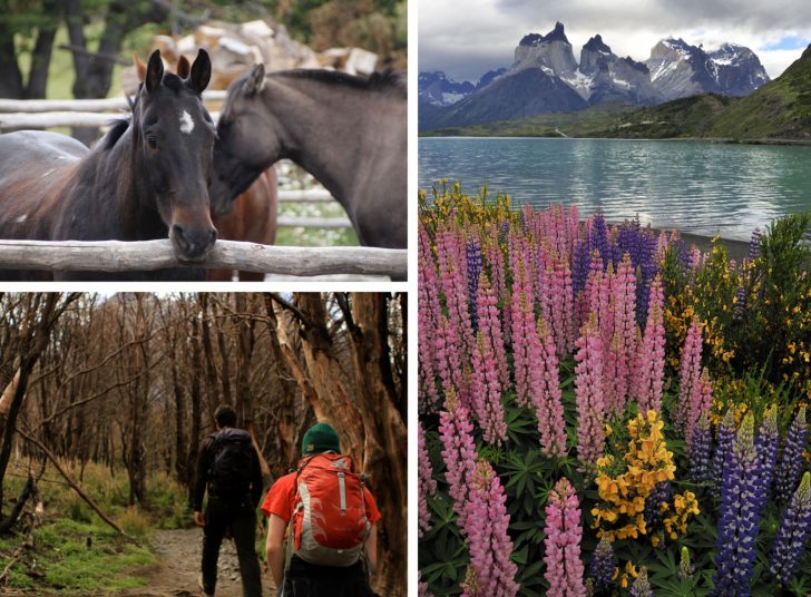Patagonia Region Travel + Tours