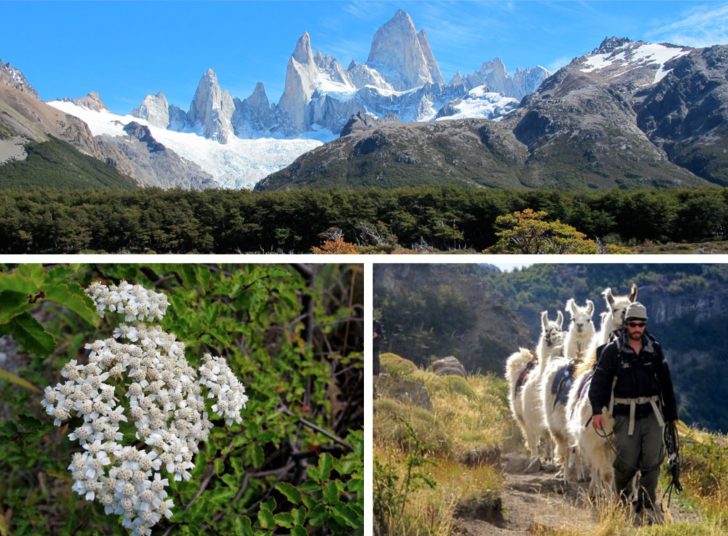 Patagonia Region Travel + Trips