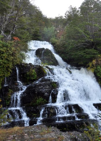 Waterfall In Patagonia