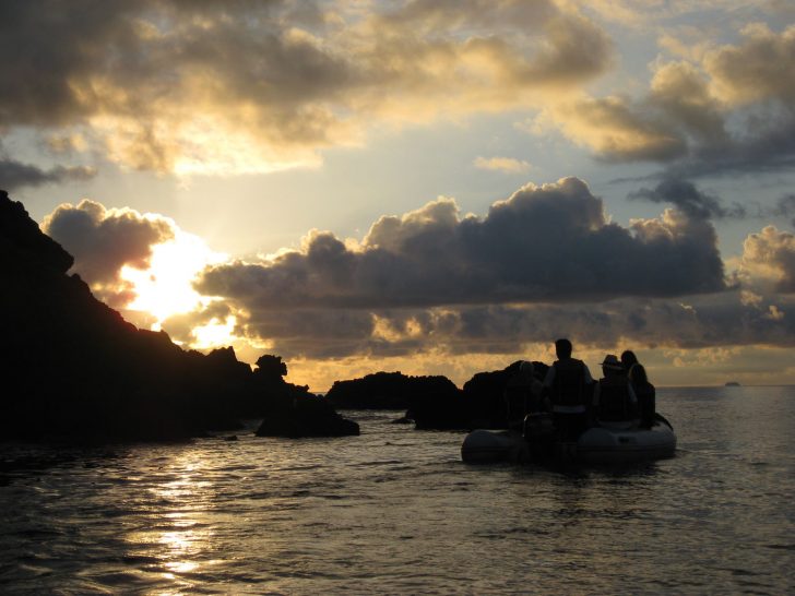 Exciting Galapagos Animals Rafting