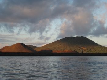 Excursions To Galapagos Animals And Valcanoes