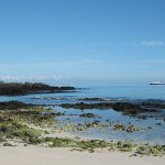 A Personal Take on Galapagos Animals, Unique Experiences + More