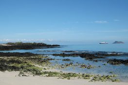 Galapagos Animals and Galapagos Trip Planning