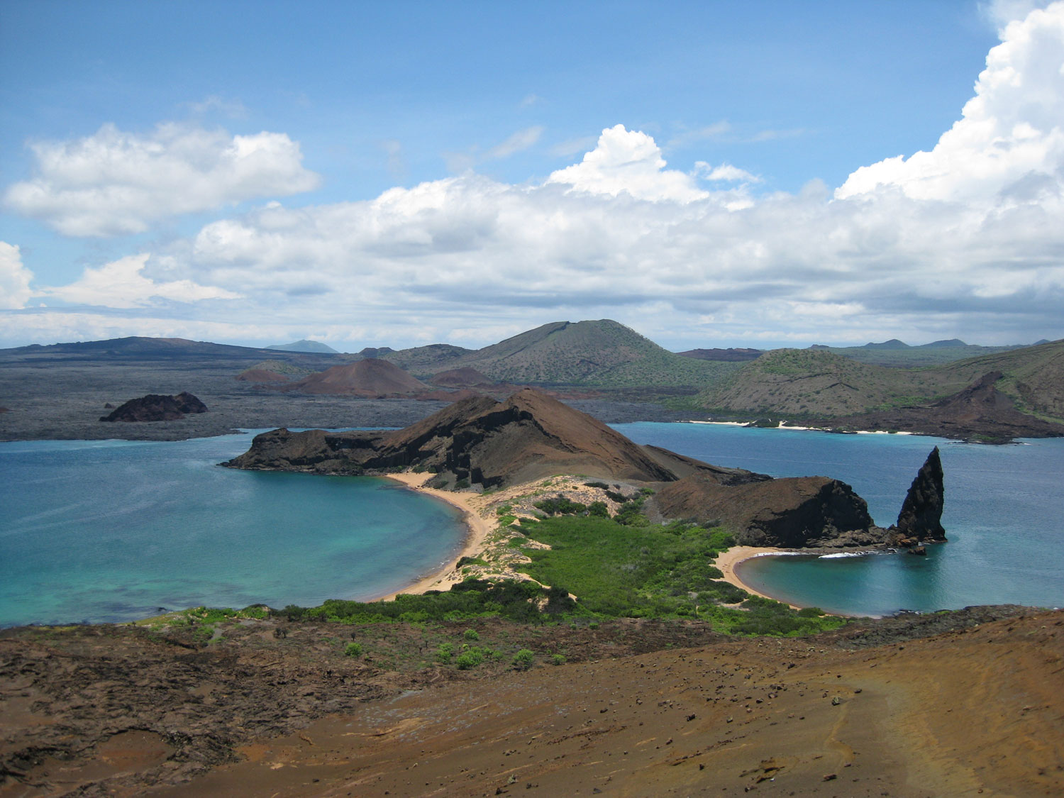 Galapagos Animals + Unique Travel Experience - Knowmad Adventures