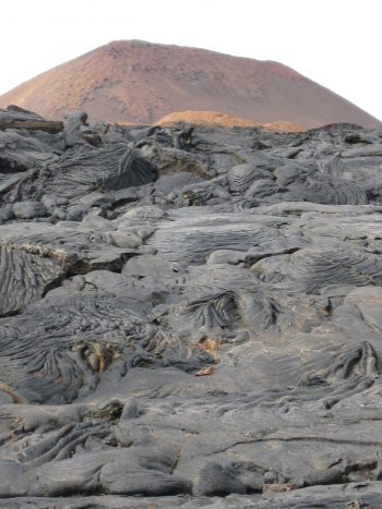 Sights Of Galapagos Animals And Lava