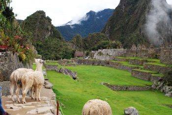 Twin Cities Outdoor Adventure Expo Incan Ruins