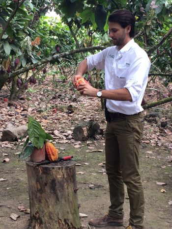 Visit To Ecuador Cacao Plant