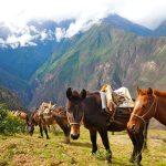Peru Treks To Ancient Inca Ruins