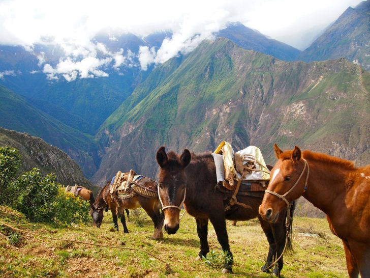 Peru Treks To Ancient Inca Ruins