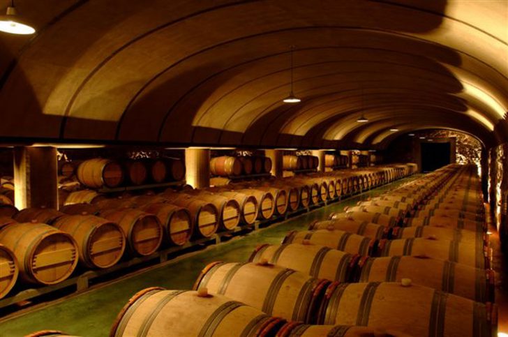 Argentina And Chile Group Trip With Wine Tasting Excursions