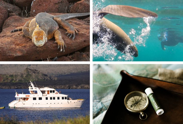 Galapagos Islands Charter