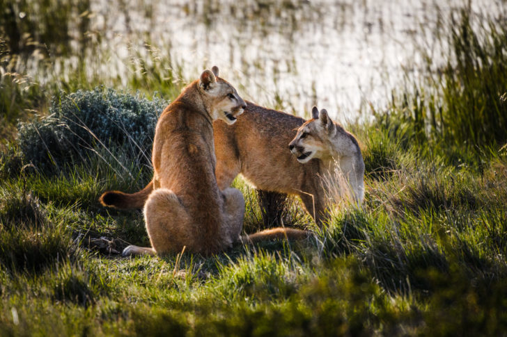 Knowmad Adventures Trip - Walker Angell Photography