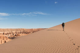 Patagonia and the Atacama Desert
