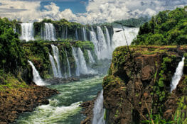 Iguazu falls with flora