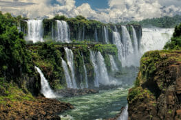 Iguazu falls with flora