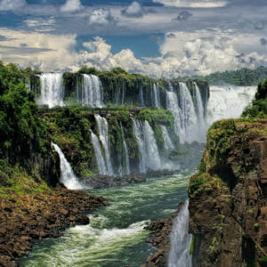 Iguazu falls with flora