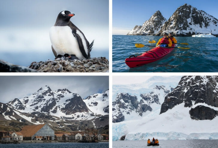 Best Antarctica Cruise