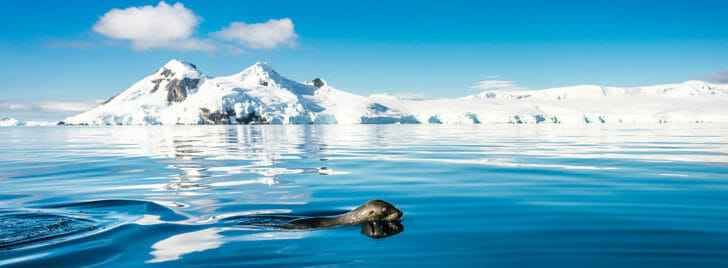 Best Antarctica Cruise Knowmad