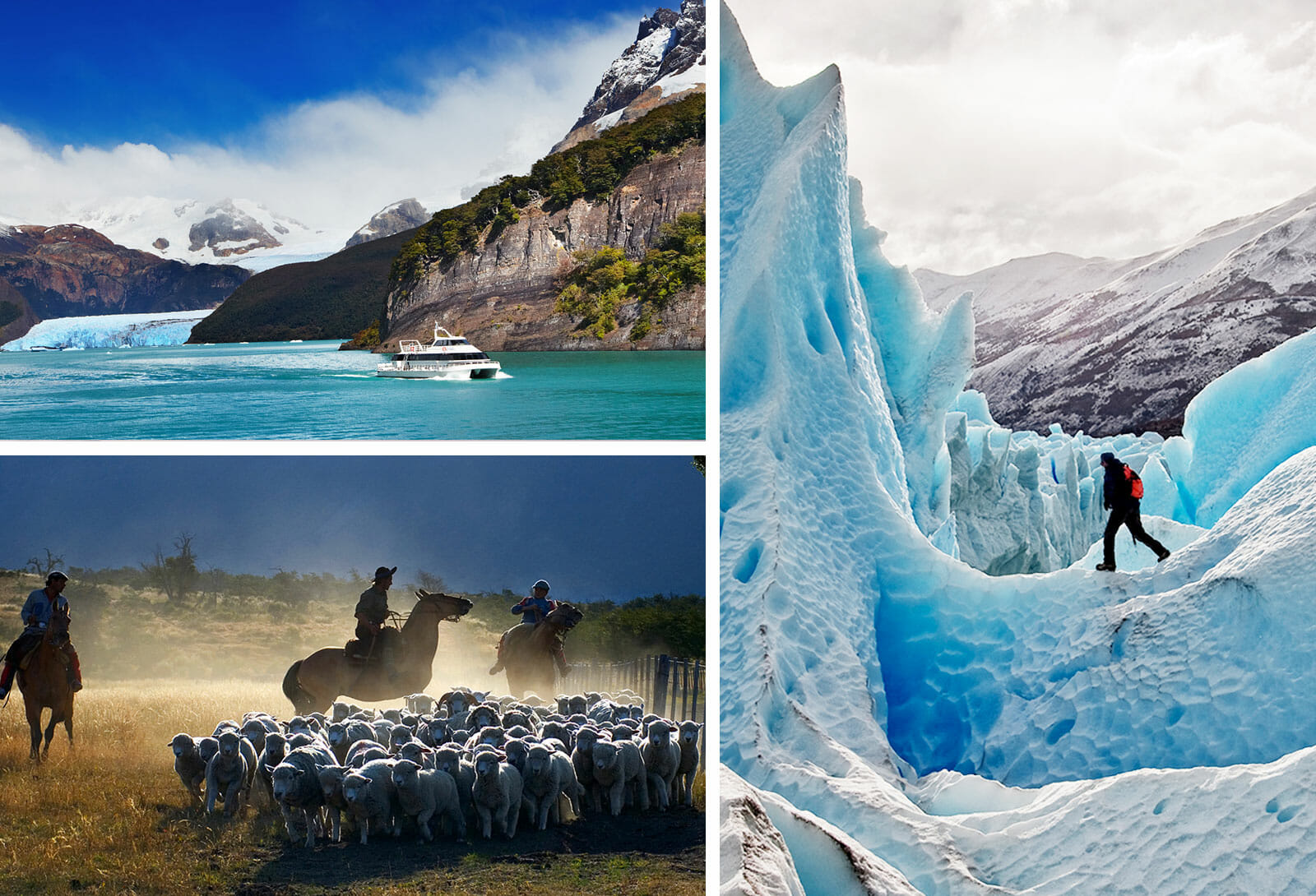 El Chalten vs. Torres del Paine, Patagonia Travel - Knowmad Adventures