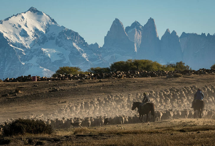 Tierra Patagonia Travel