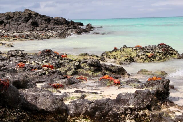 galapagos islands travel