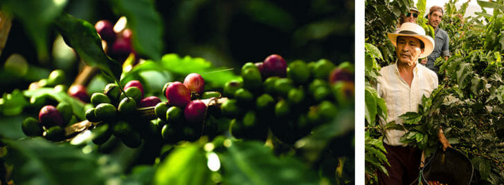Private Coffee Tours, Custom Travel Colombia 