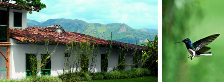 Hacienda Bambusa Travel