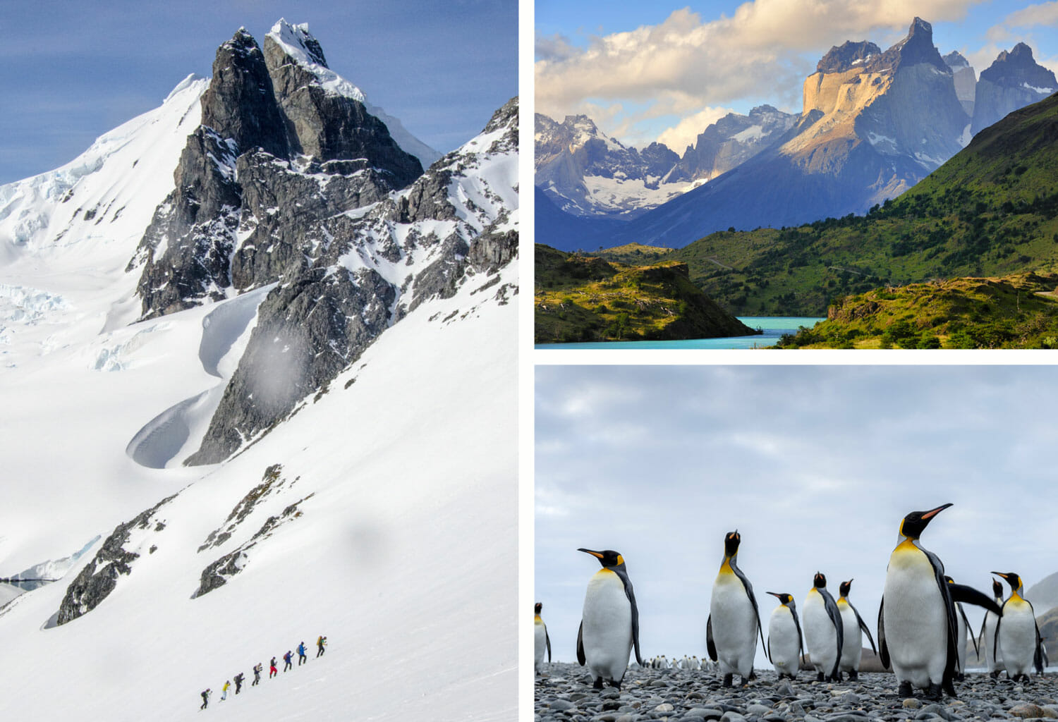 patagonia antarctica tour
