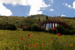 Clos Apalta Residence