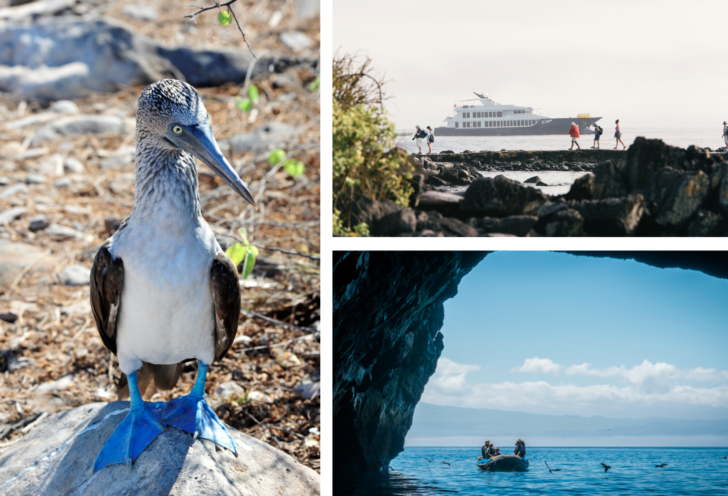 Best Galapagos Cruise - What Size Should I Choose?