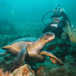 How to Pick the Best Galapagos Cruise for You