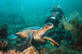 What's The Best Galapagos Cruise Ship for Me?