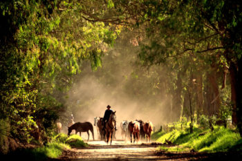 Ecuador And Galapagos Open For Travel