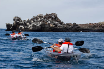 Last Minute Galapagos Cruise Deal