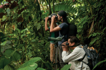 Travel To Ecuador And Galapagos Possible