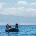 Savings & Unprecedented Wildlife in Galapagos